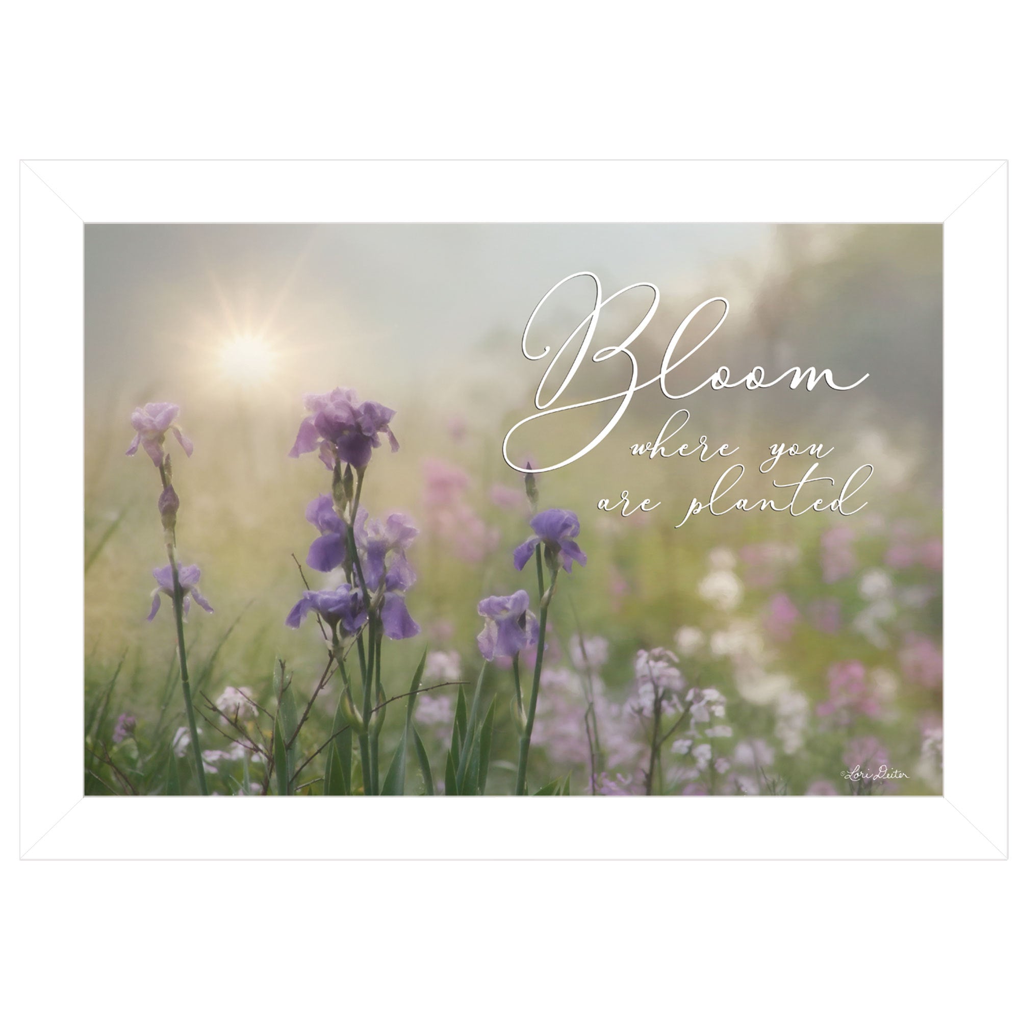 'Bloom Where You are Planted' by Lori Deiter, Ready to Hang Framed Print, White Frame