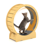 Cat Exercise Wheel for Indoor Cats, 42' Cat Treadmill Wheel with Detachable Carpeted Runway, Natural Solid Wood Sturdy Running Wheel for Running/Training/Walking, Suitable for Most Cats