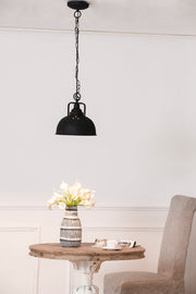 D10.4x11.4' Hanging Lamp,Metal