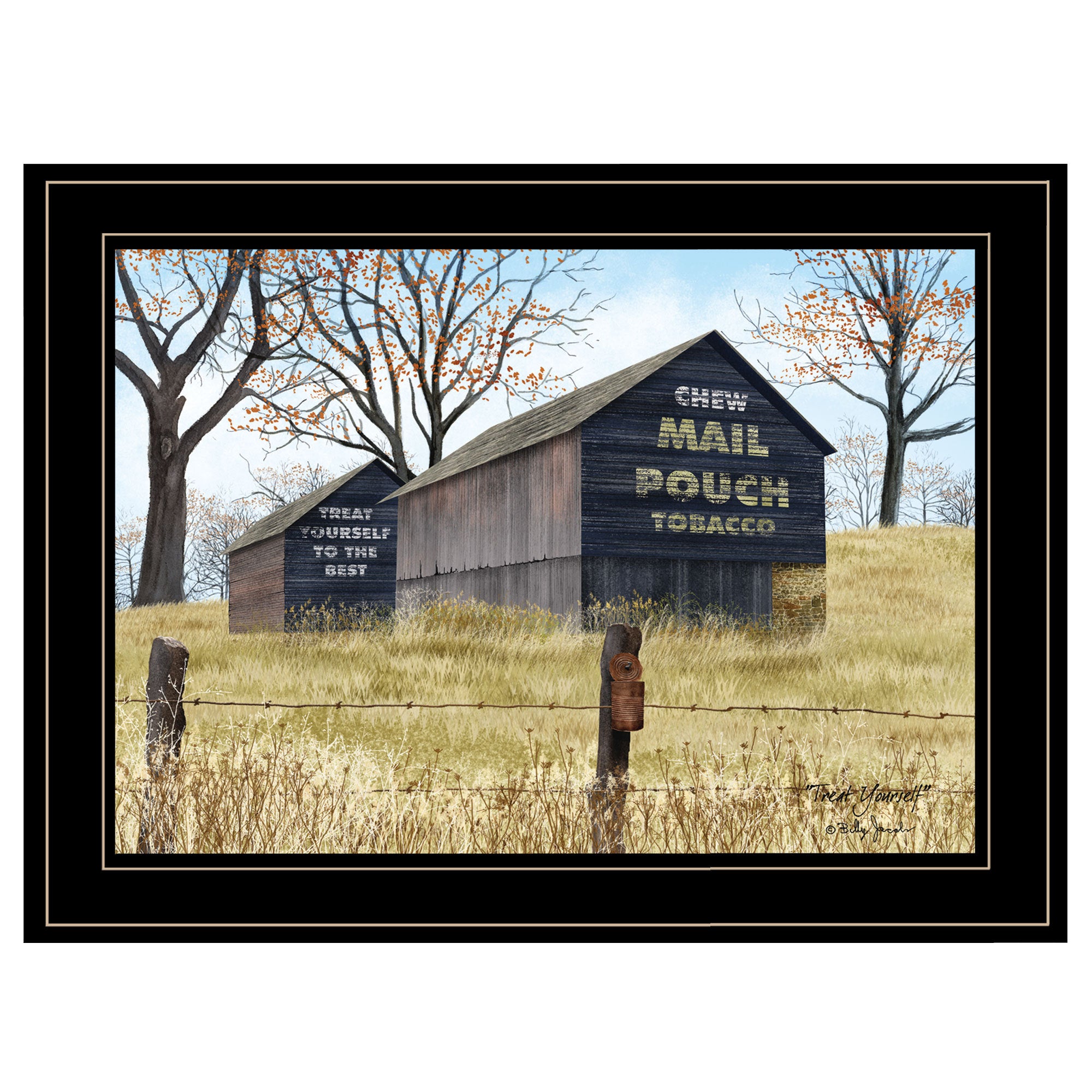 'Treat Yourself' (Mail Pouch Barn) by Billy Jacobs, Ready to Hang Framed Print, Black Frame