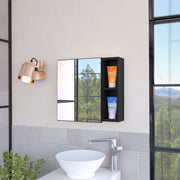 2-Shelf Medicine Cabinet with Mirror Wenge