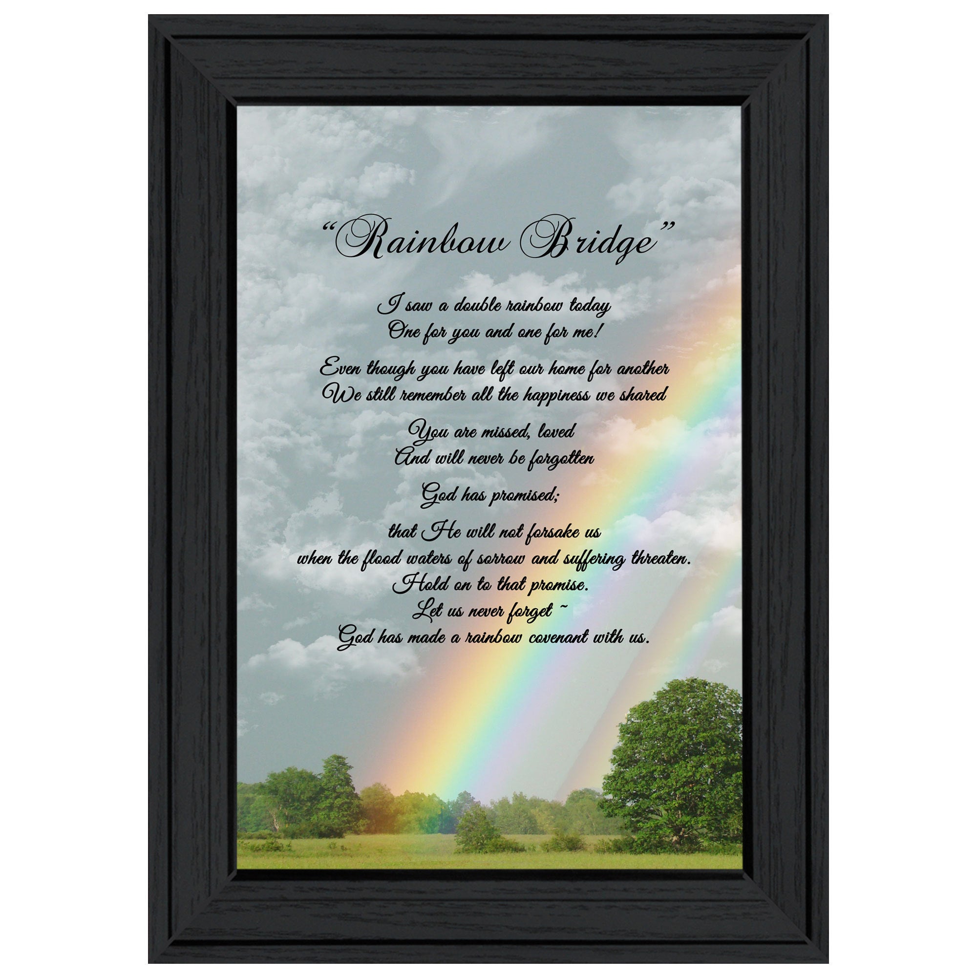 'Rainbow Bridge' by Trendy Decor 4U, Ready to Hang Framed Print, Black Frame