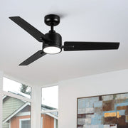 48' Black Lowe Profile Ceiling Fan with Light