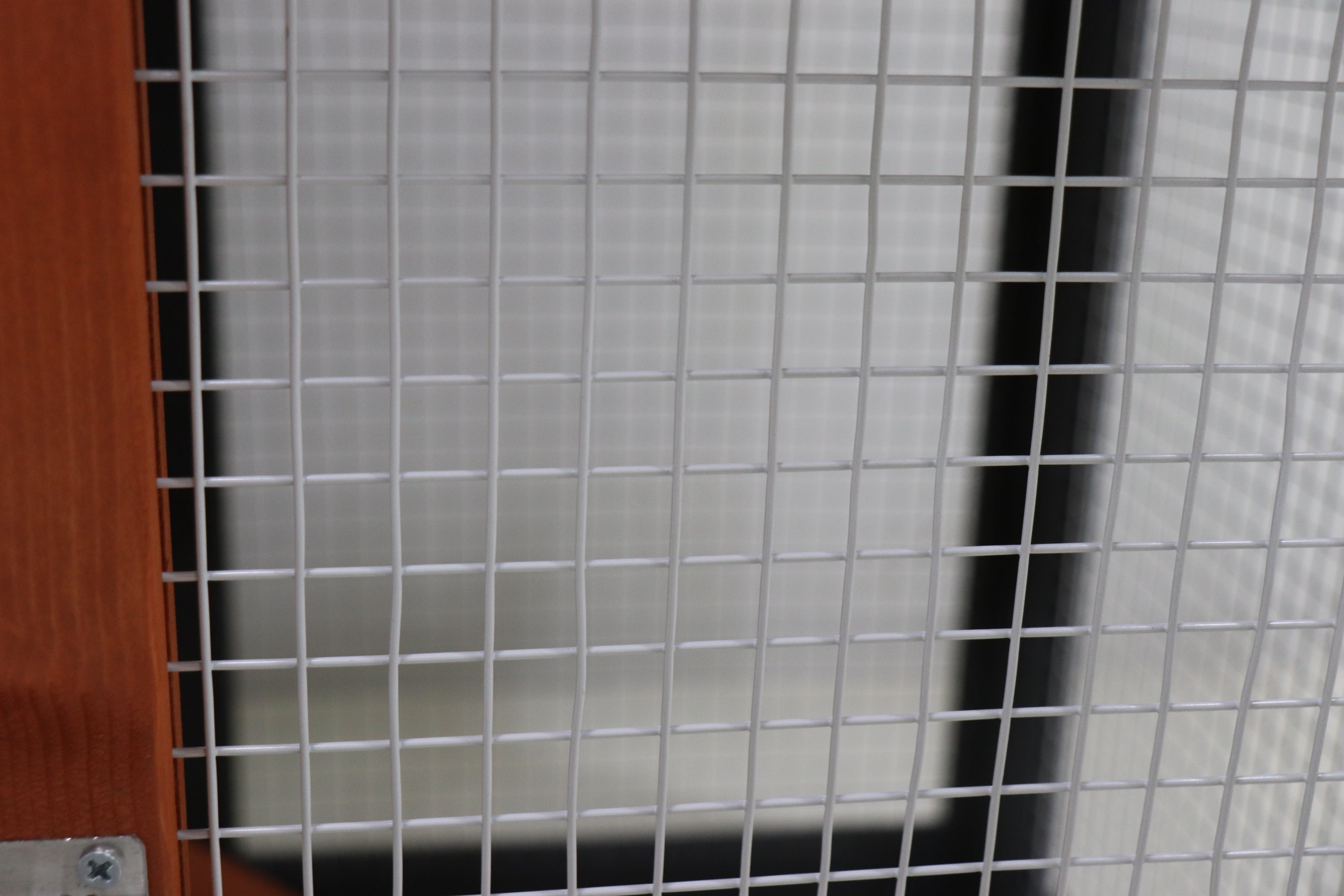 21669746
