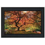 'First Colors of Fall I' by Moises Levy, Ready to Hang Framed Print, Black Frame