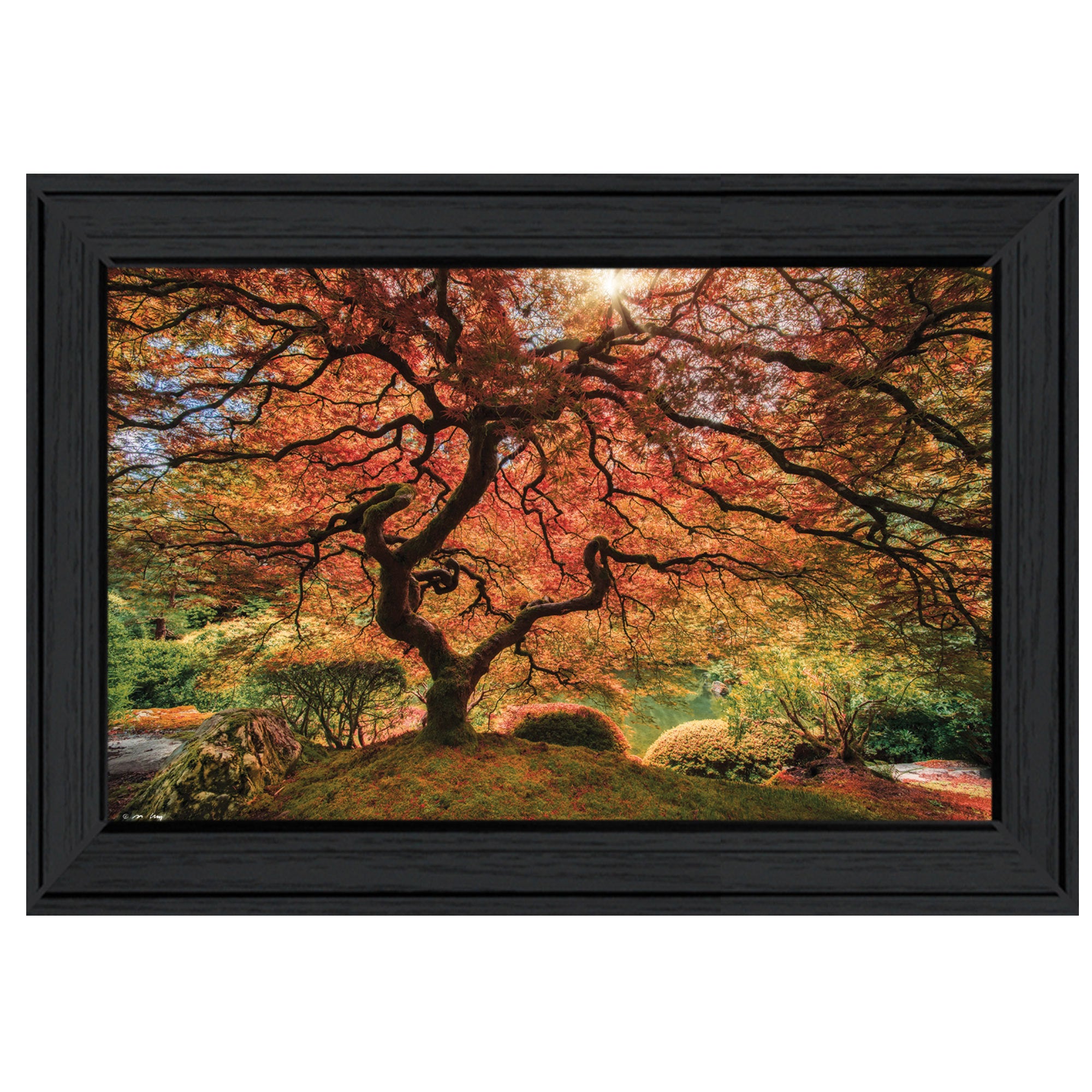 'First Colors of Fall I' by Moises Levy, Ready to Hang Framed Print, Black Frame