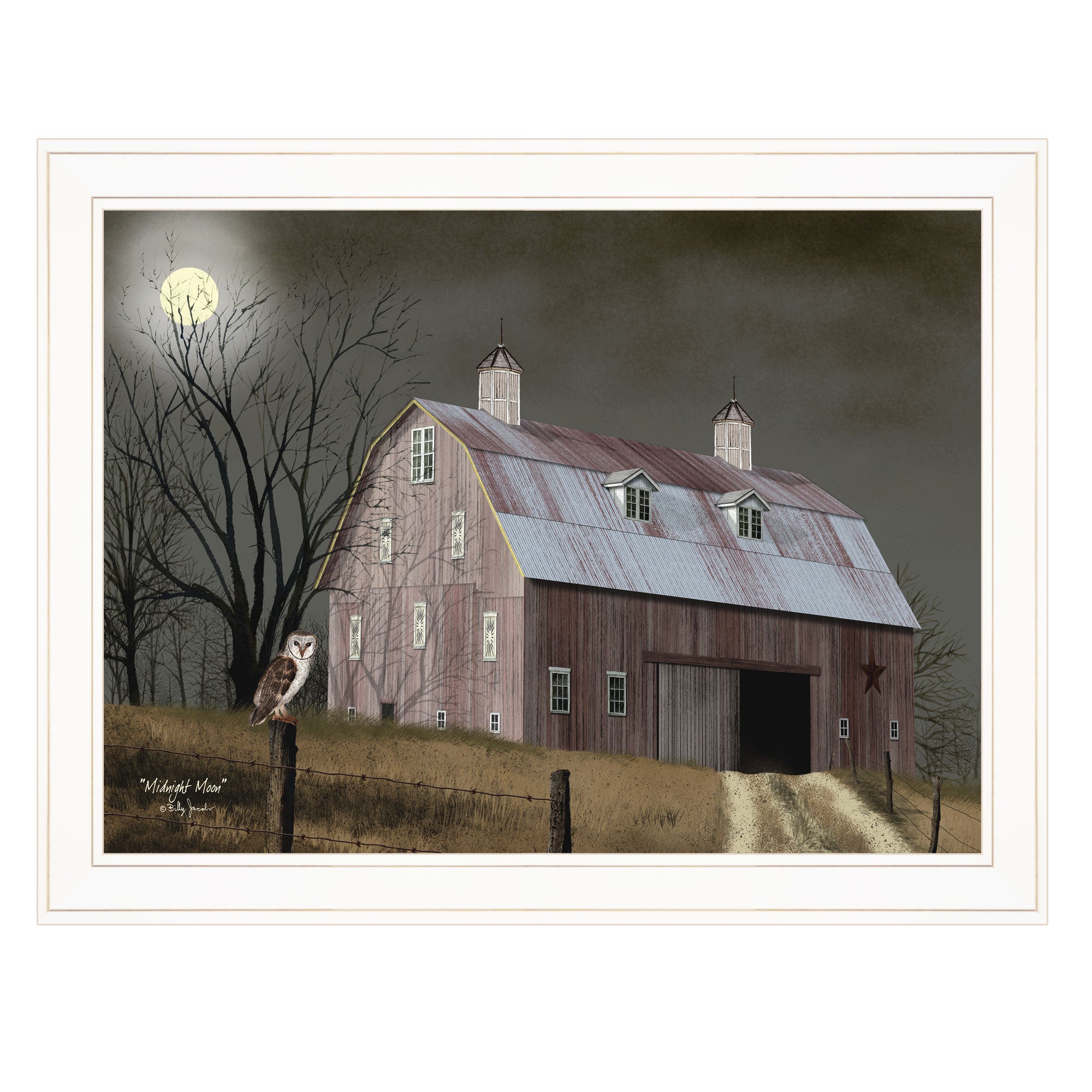 'Midnight Moon' by Billy Jacobs, Ready to Hang Framed Print, White Frame