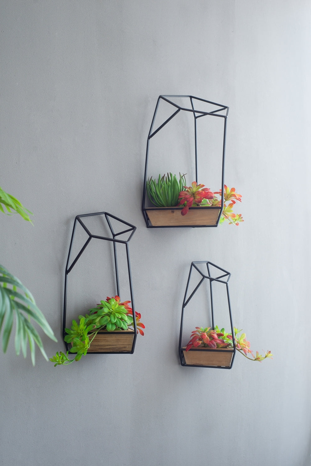 Set of 3 Felix Wall Planter, L:10x10x16.5'  M:8.5x8.5x15.5' S:7x7x13.5'