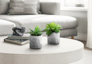 Artificial Plant, 6' Tall, Succulent, Indoor, Faux, Fake, Table, Greenery, Potted, Set Of 2, Decorative, Green Leaves, Grey Cement Pots