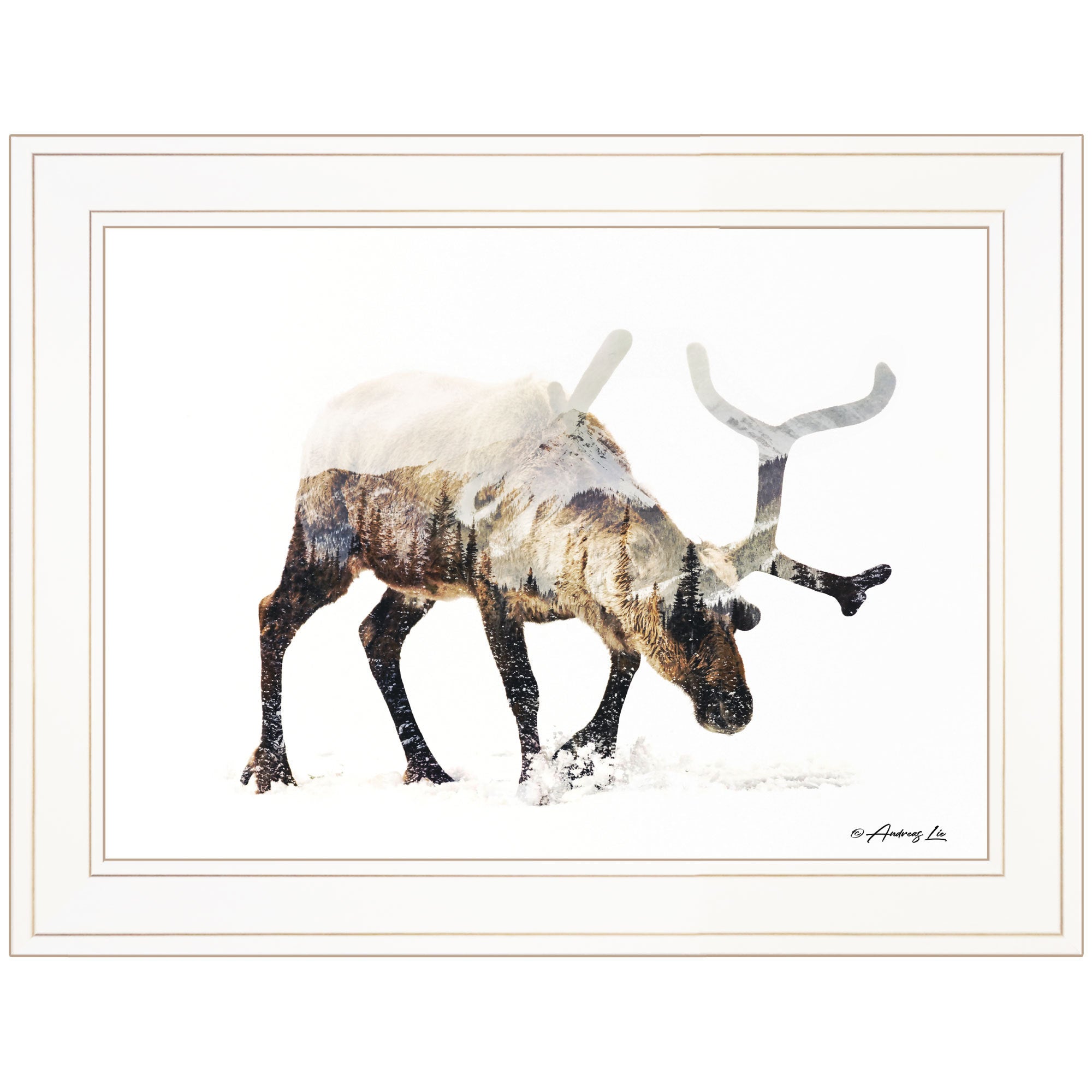 'Arctic Reindeer' by Andreas Lie, Ready to Hang Framed Print, White Frame