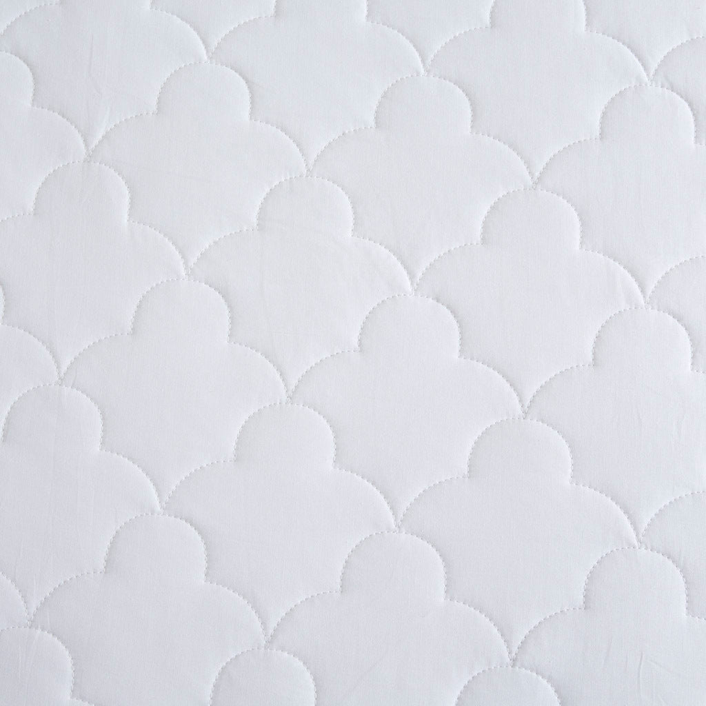 21892904