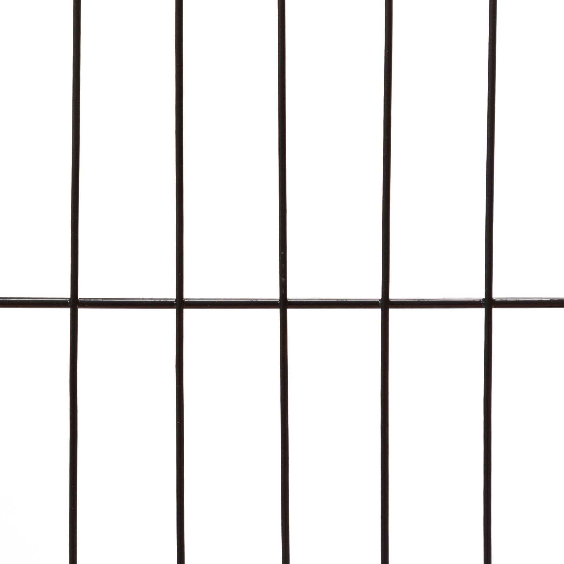 21671171