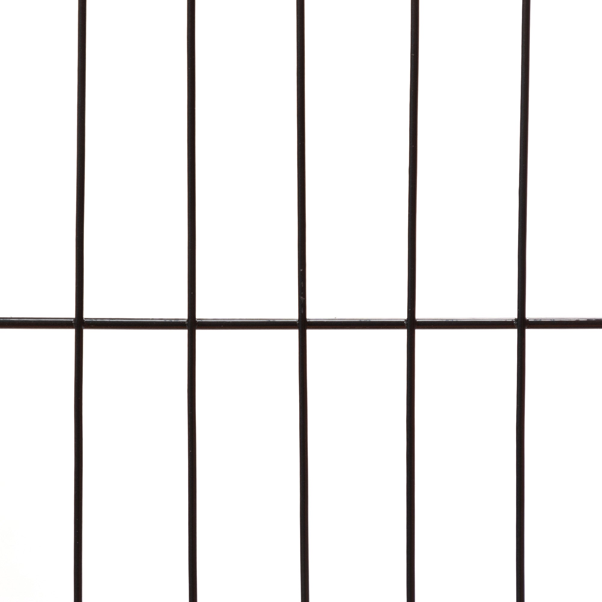 21671171