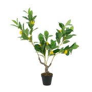 12x12x31.5'H Artificial PEVA Lemon Tree with Lifelike Greenery and Black Plastic Pot