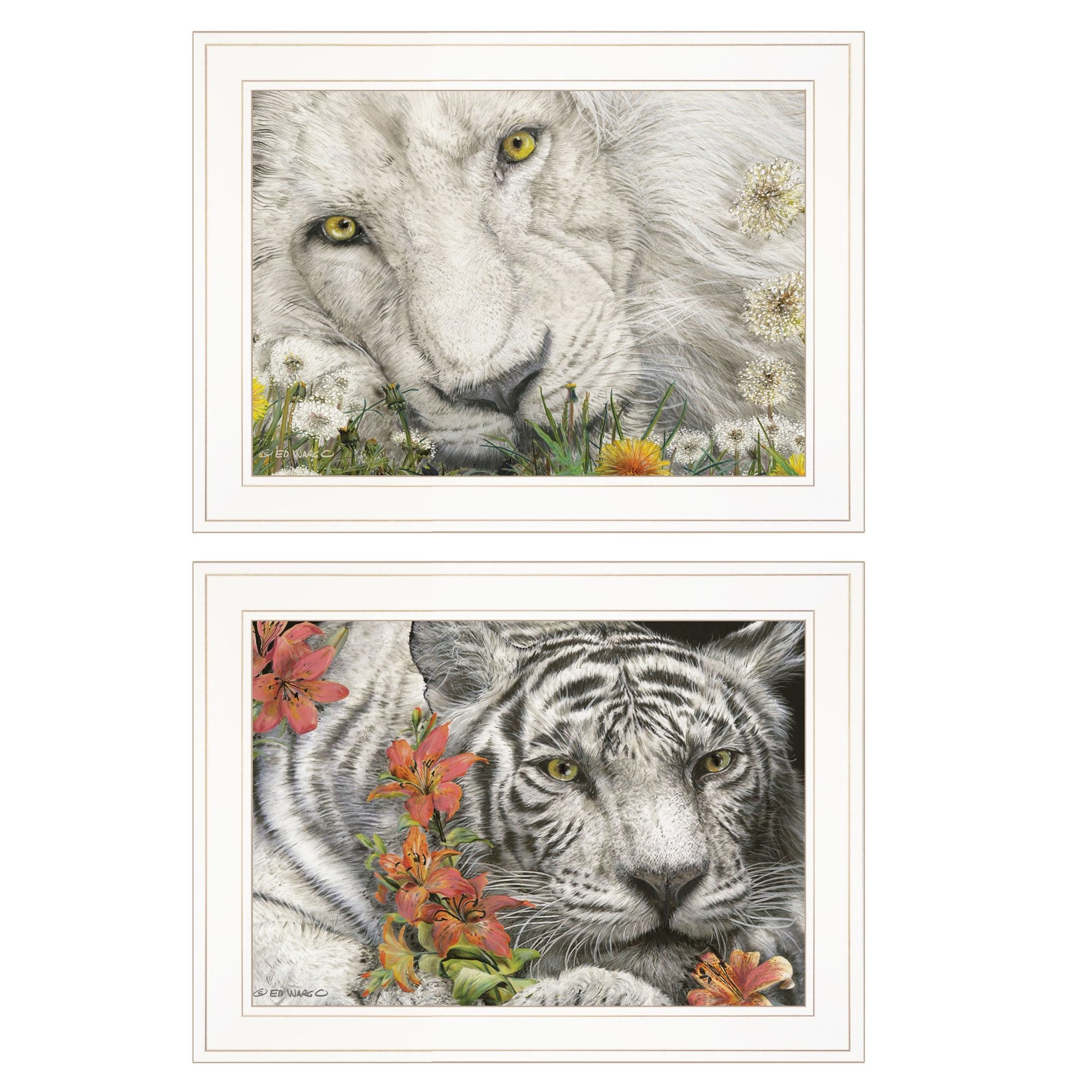 'Tiger Lily Dandy Lion' 2-Piece Vignette By Ed Wargo, Ready to Hang Framed Print, White Frame