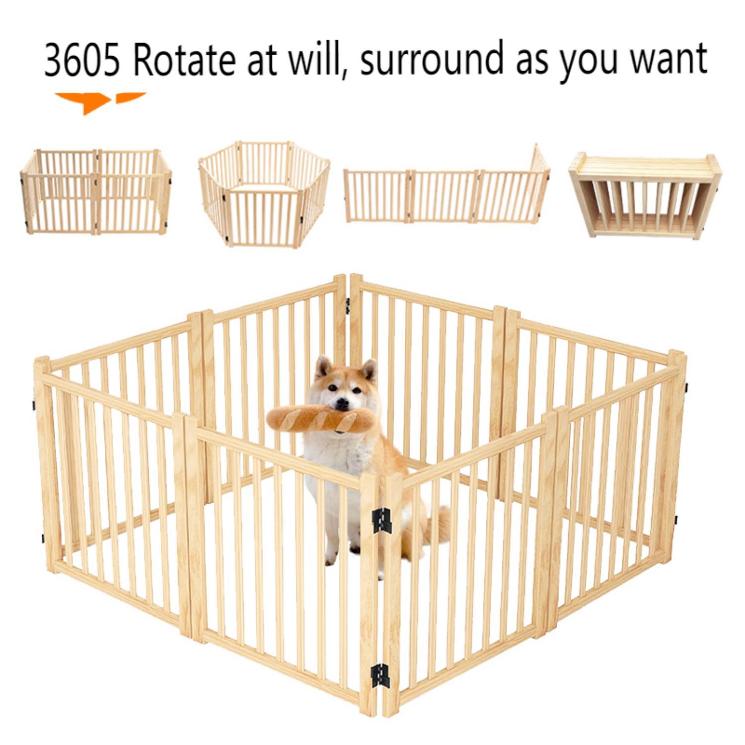 21668841