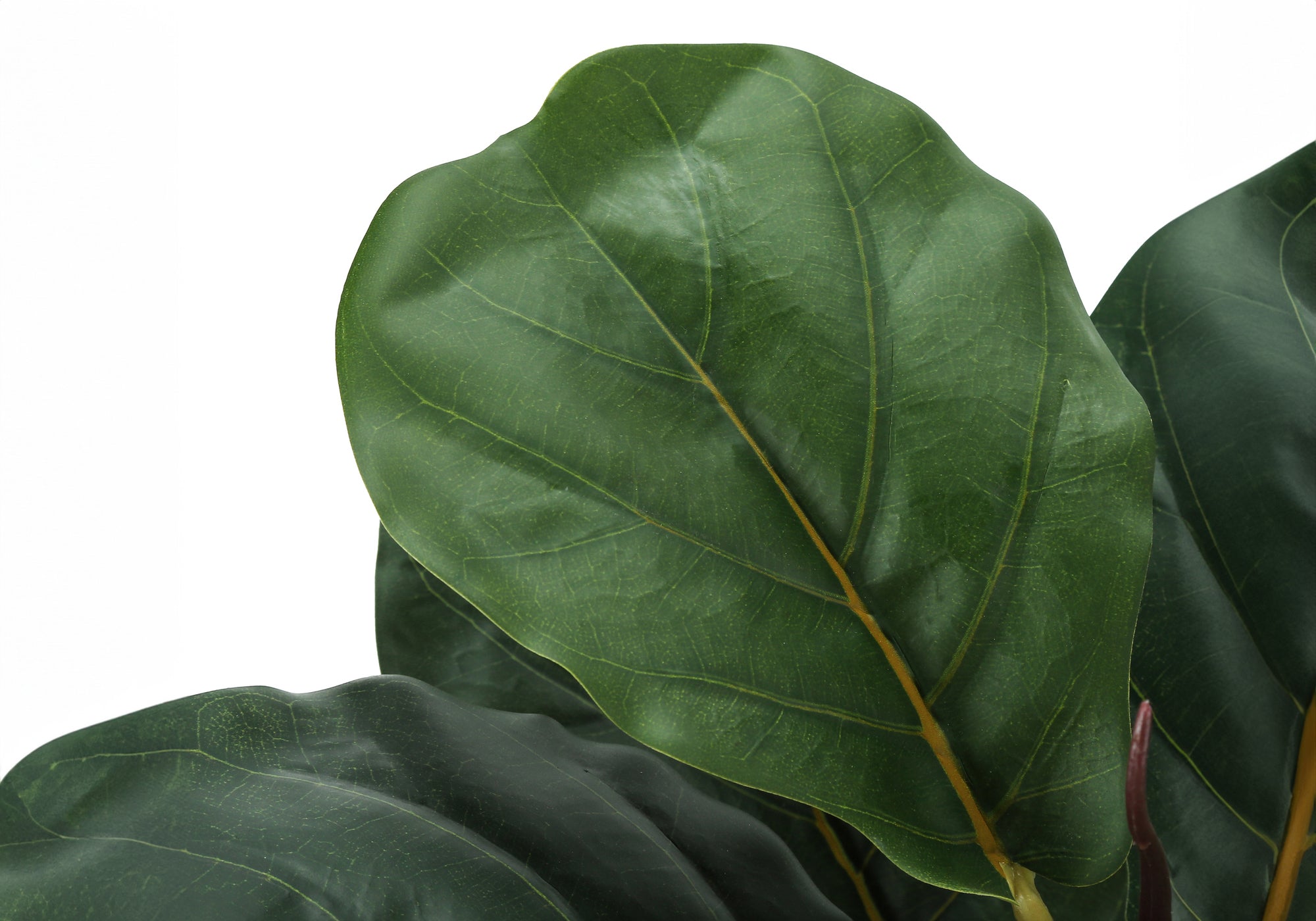21851997