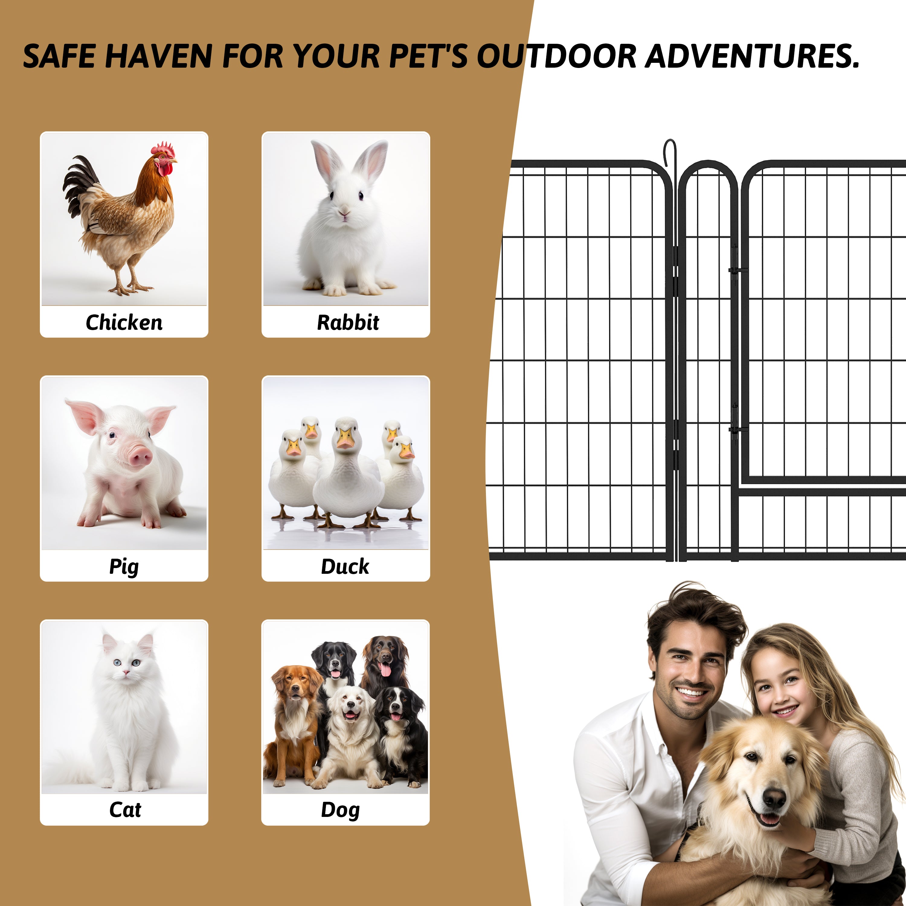 21667874