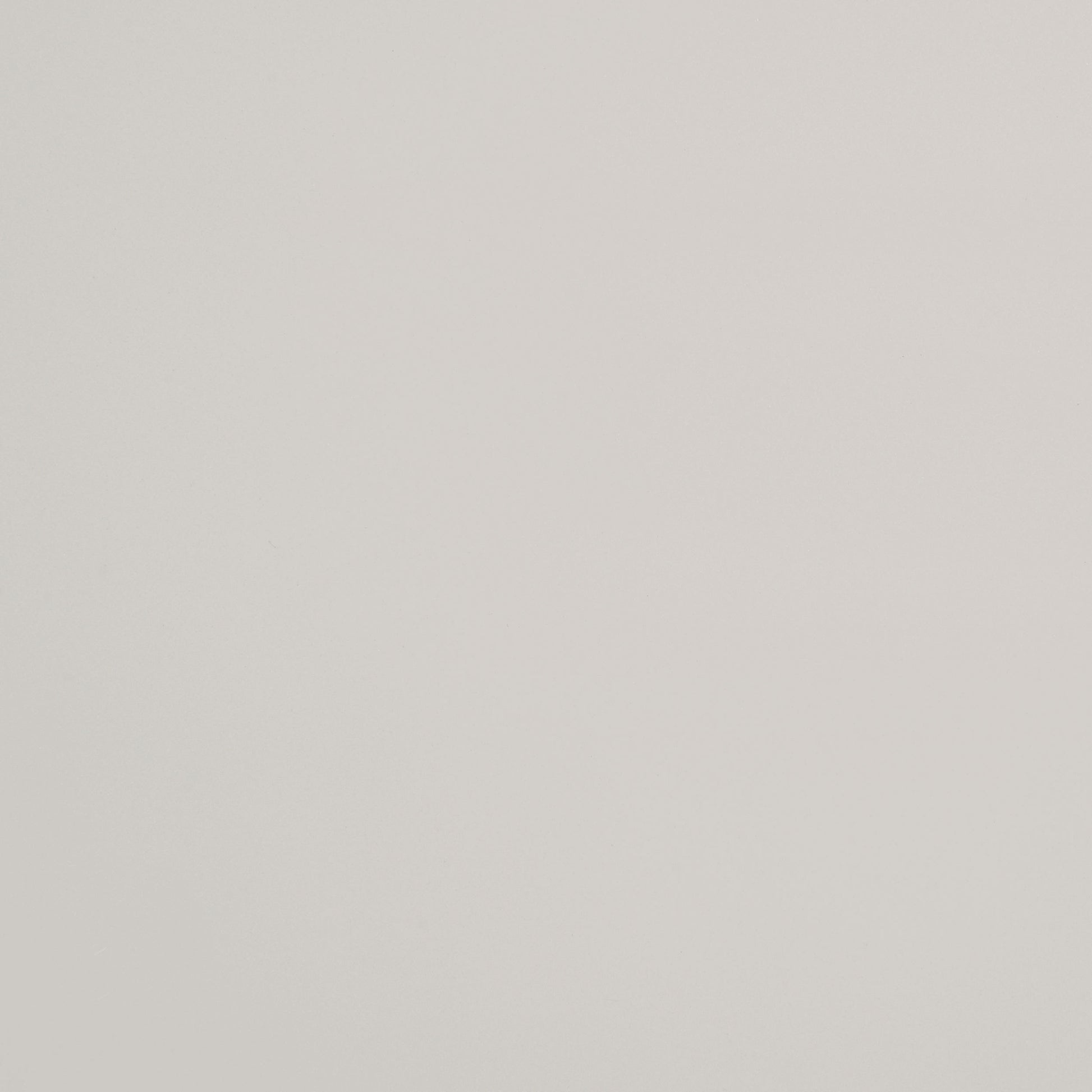 21400419