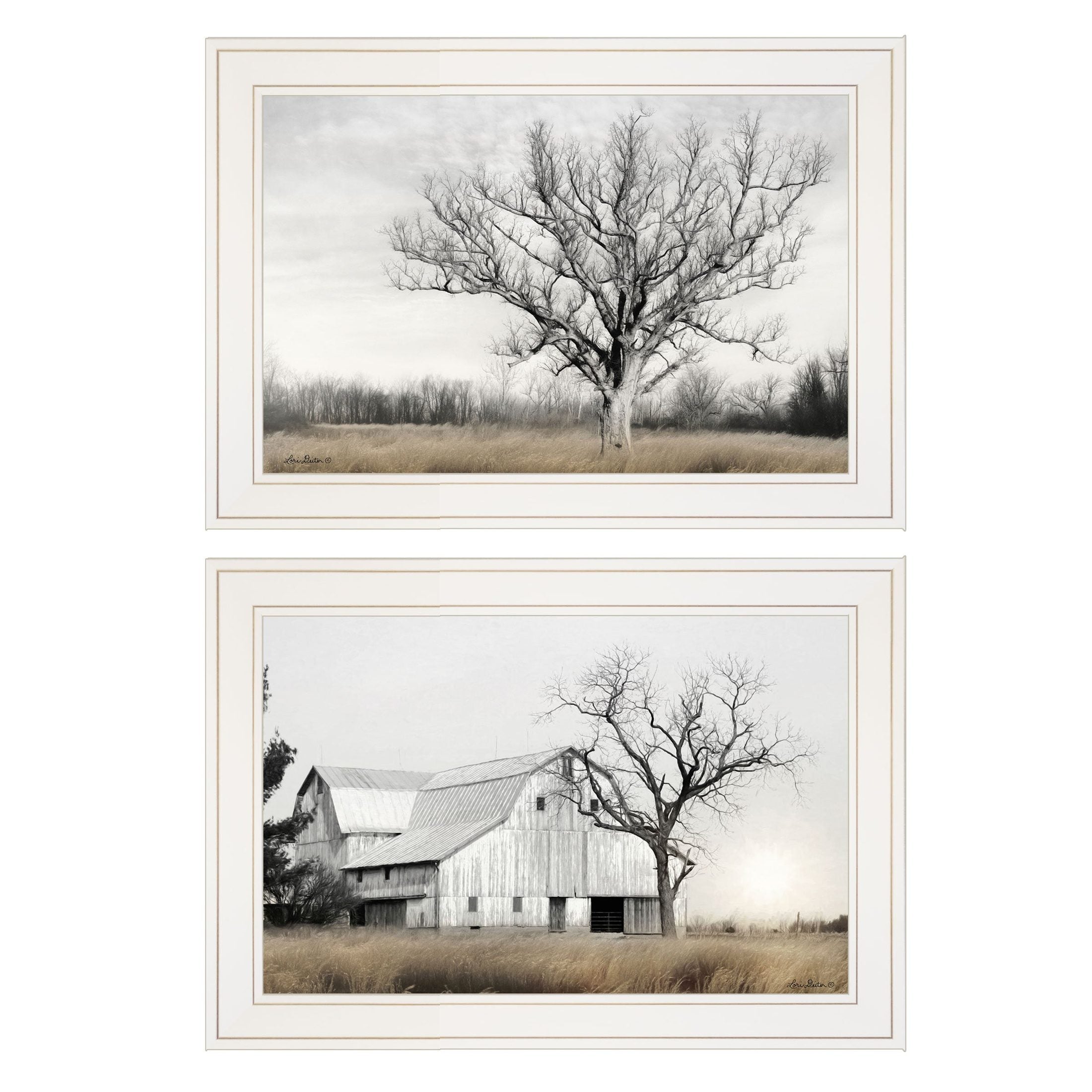 'Ohio Fields I' 2-Piece Vignette by Lori Deiter, White Frame