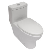 Modern Ceramic One Piece Toilet with Dual Flush and Soft Closing Seat in White
