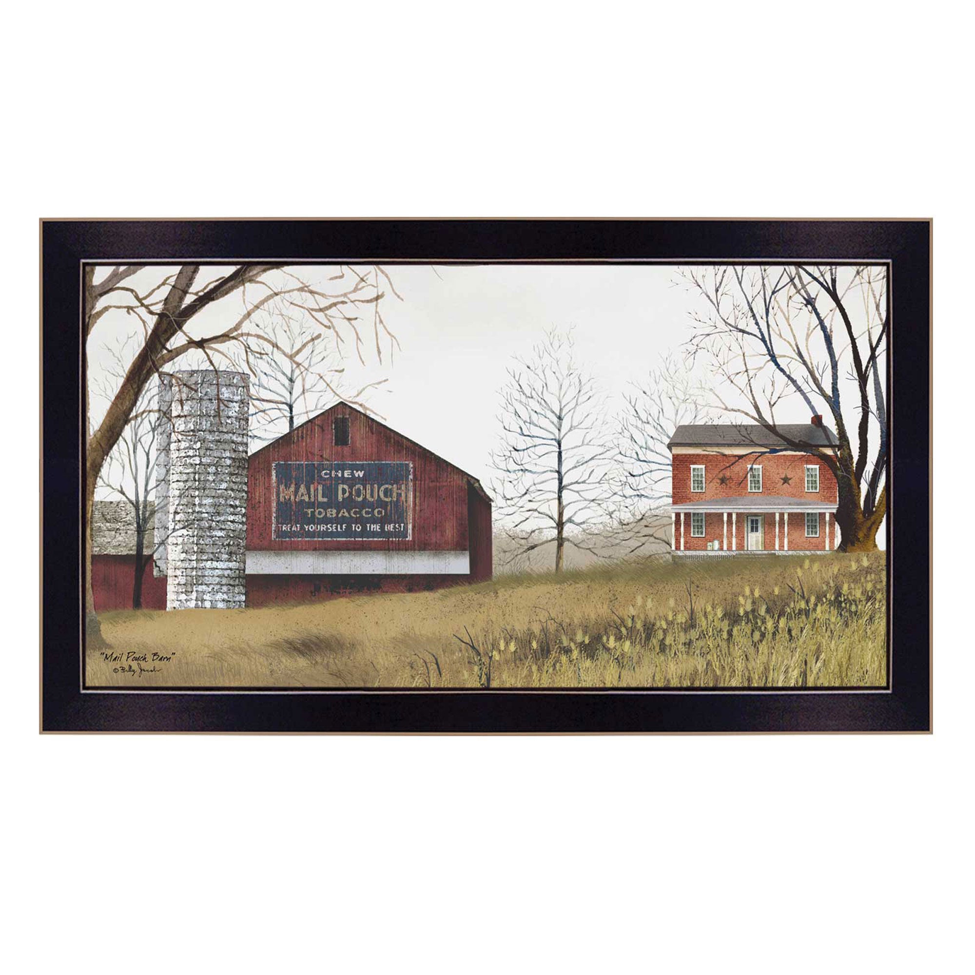 'Mail Pouch Barn' By Billy Jacobs, Printed Wall Art, Ready To Hang Framed Poster, Black Frame