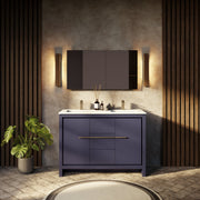 Navy Blue Double Bath Vanity 48 in. W x 20 in. D, with White Quartz Top