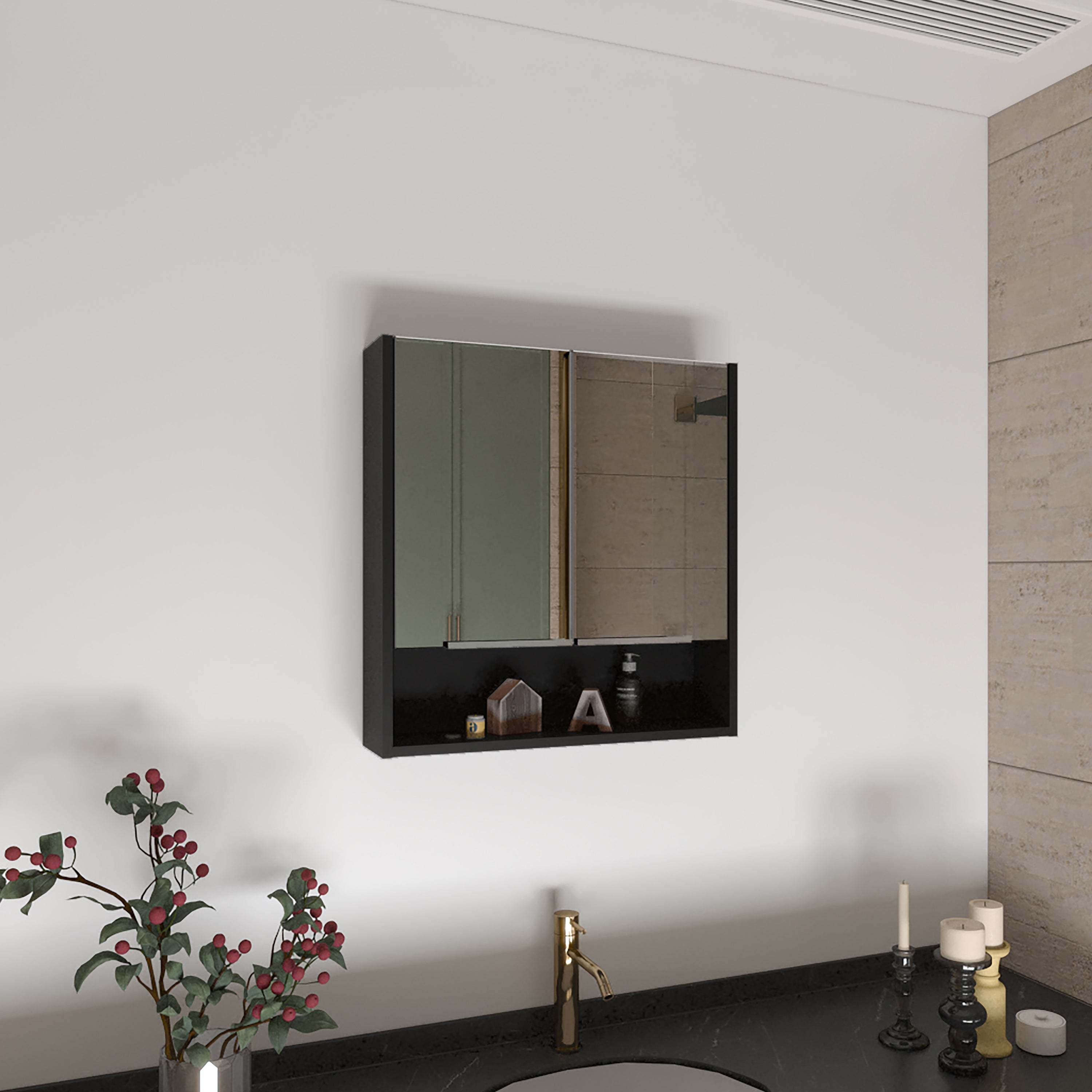 Rectangle Medicine Cabinet with Mirror Wenge