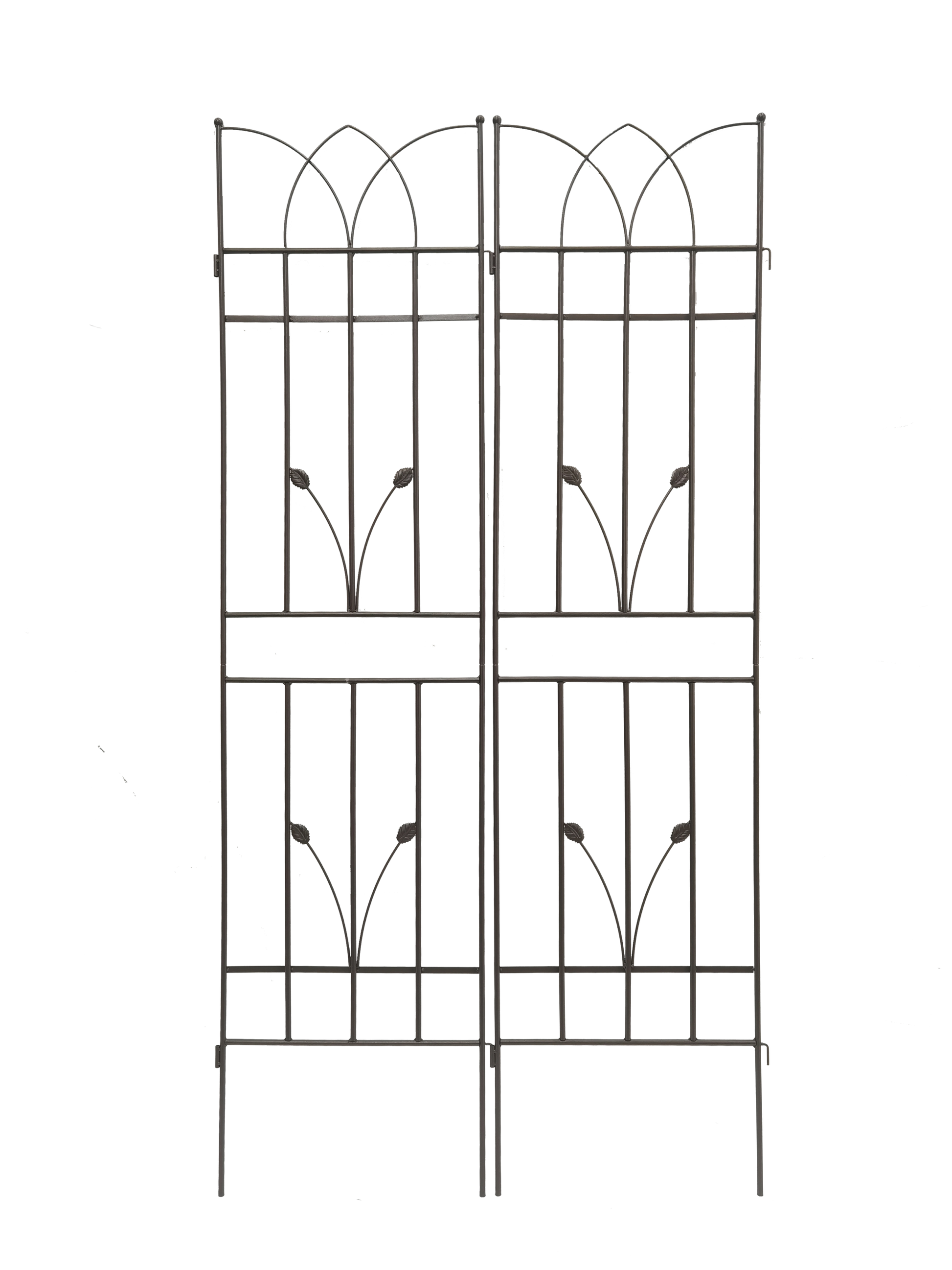 21444736