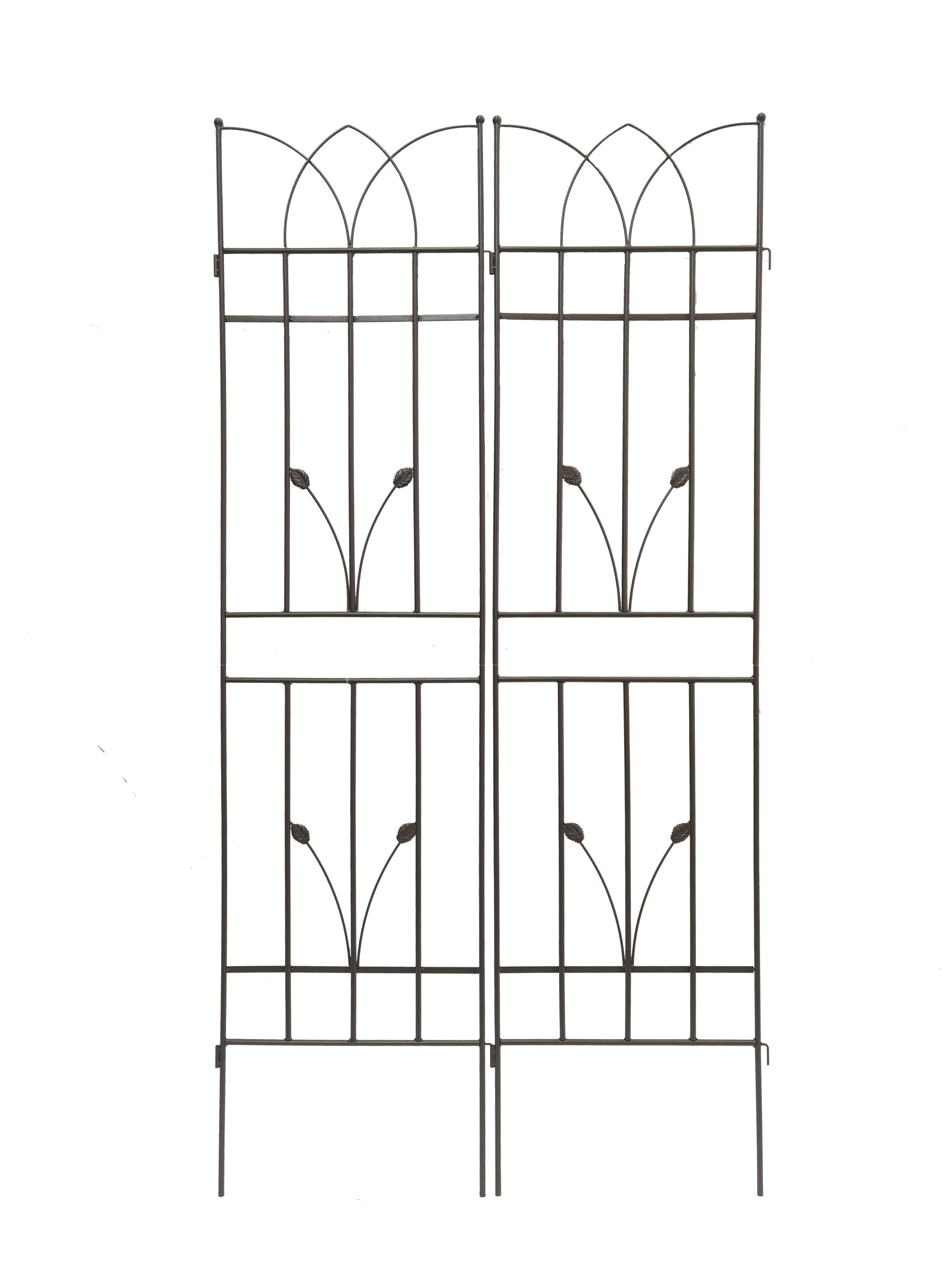 21444736