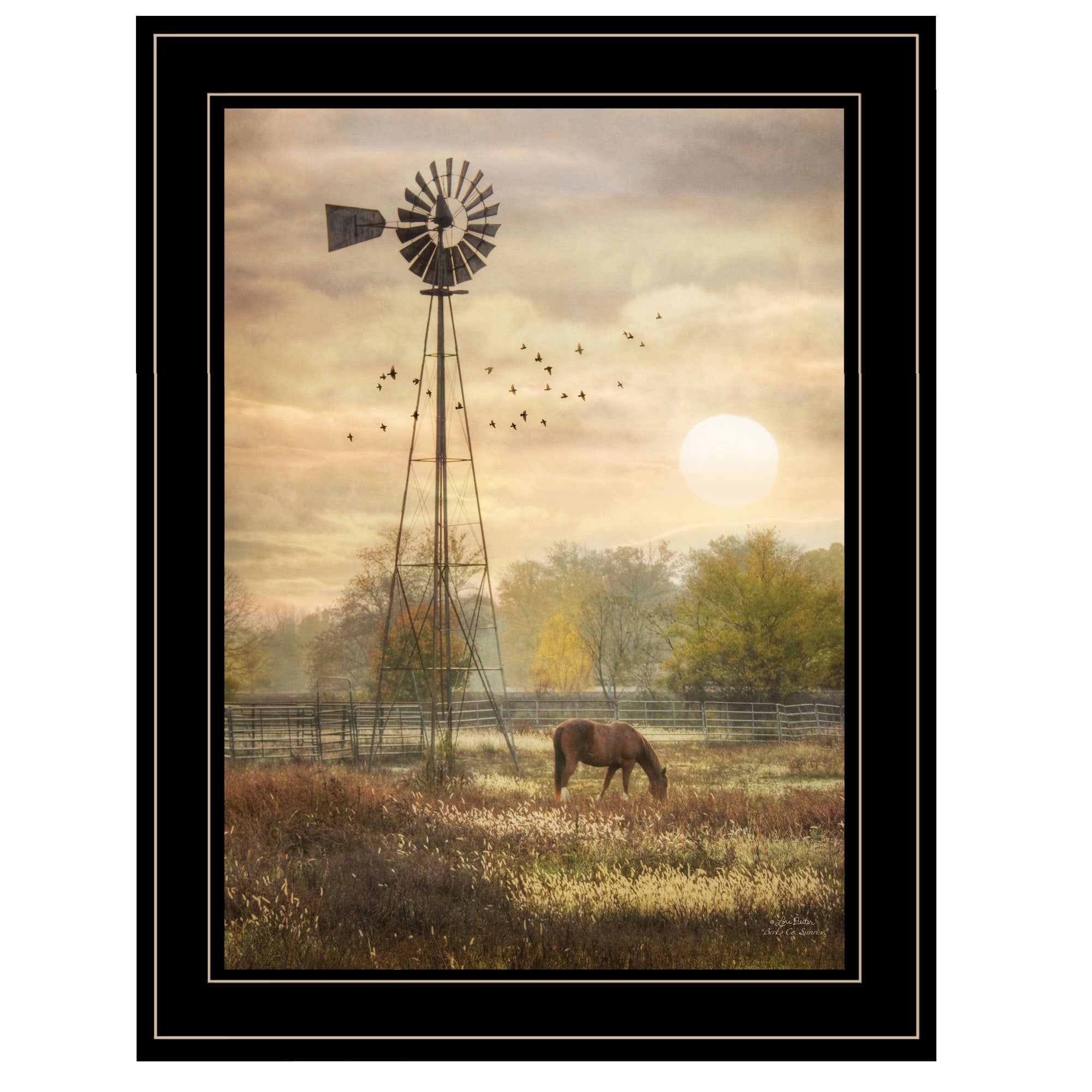 'Berks Co. Sunrise' by Lori Deiter, Ready to Hang Framed Print, Black Frame
