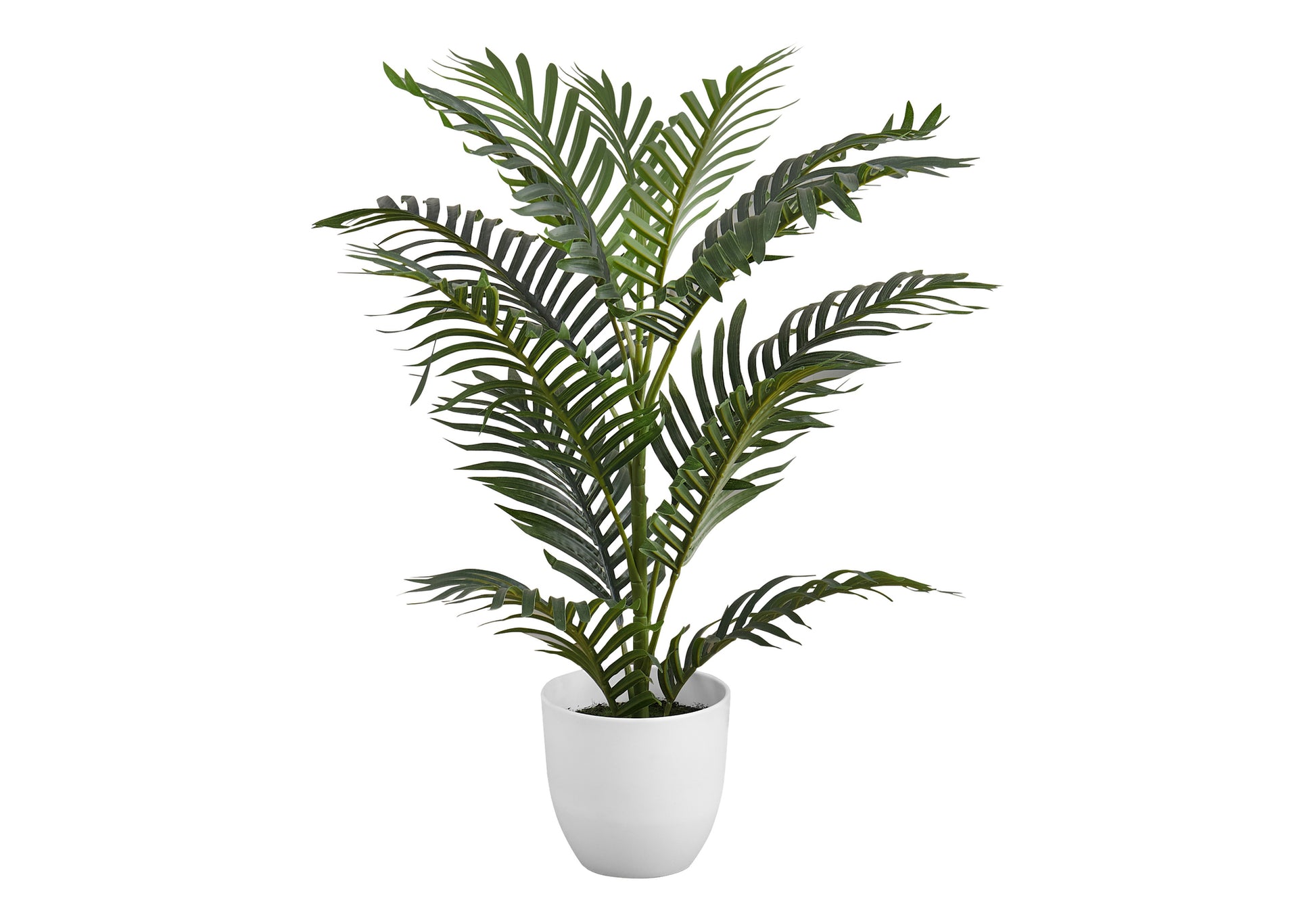 21851999