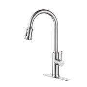 Kitchen Faucet with Pull Out Spraye