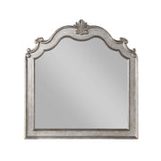 Esteban Antique Champagne Finish Mirror with Arched Design and Poly-Resin Trim