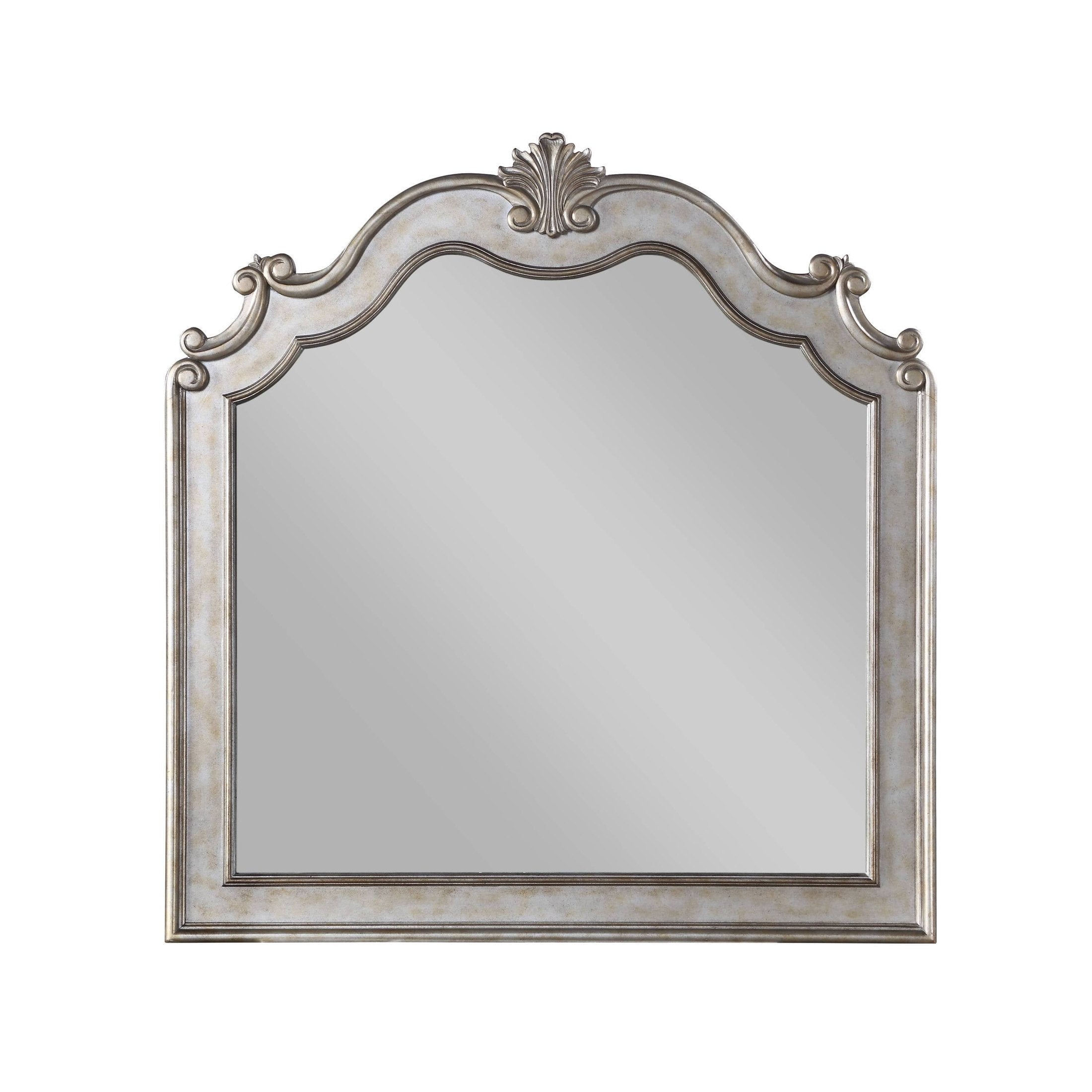 Esteban Antique Champagne Finish Mirror with Arched Design and Poly-Resin Trim