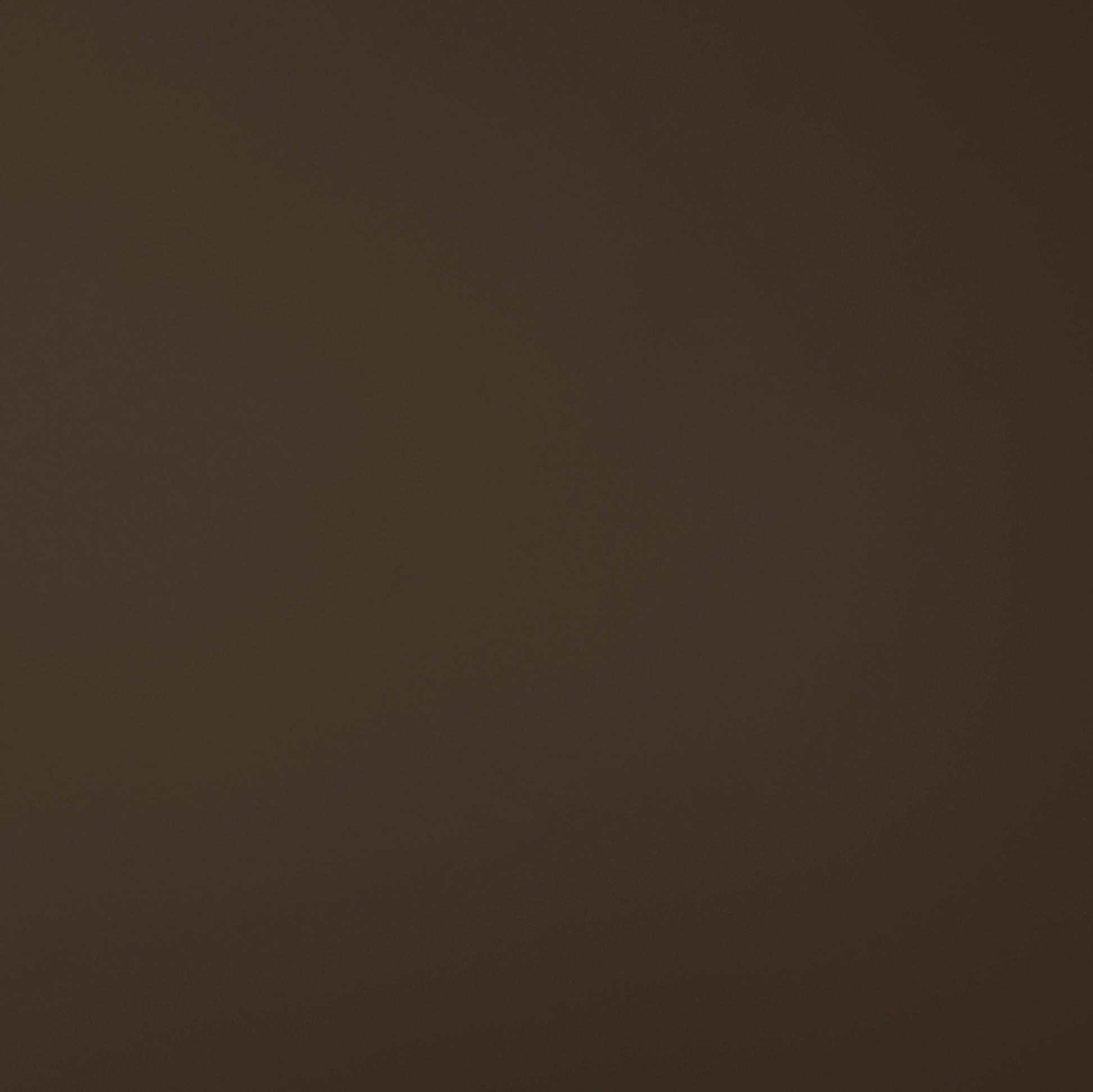 22163904