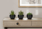 Artificial Plant, 6' Tall, Succulent, Indoor, Faux, Fake, Table, Greenery, Potted, Set Of 3, Decorative, Green Plants, Black Pots