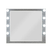 Sliverfluff Mirrored & Champagne Finish Mirror with Light and Acrylic Accents