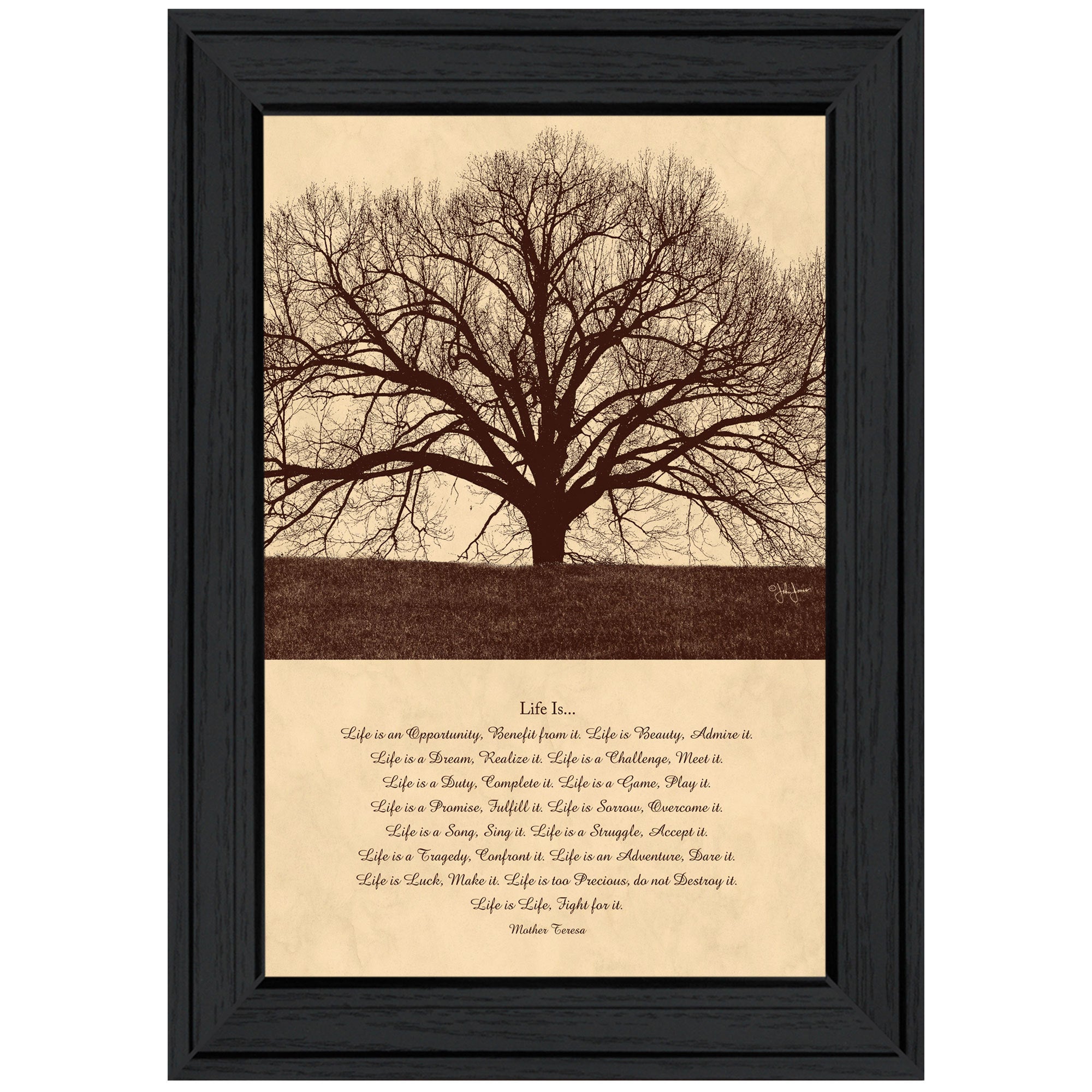 'Life Is' By John Jones, Ready to Hang Framed Print, Black Frame