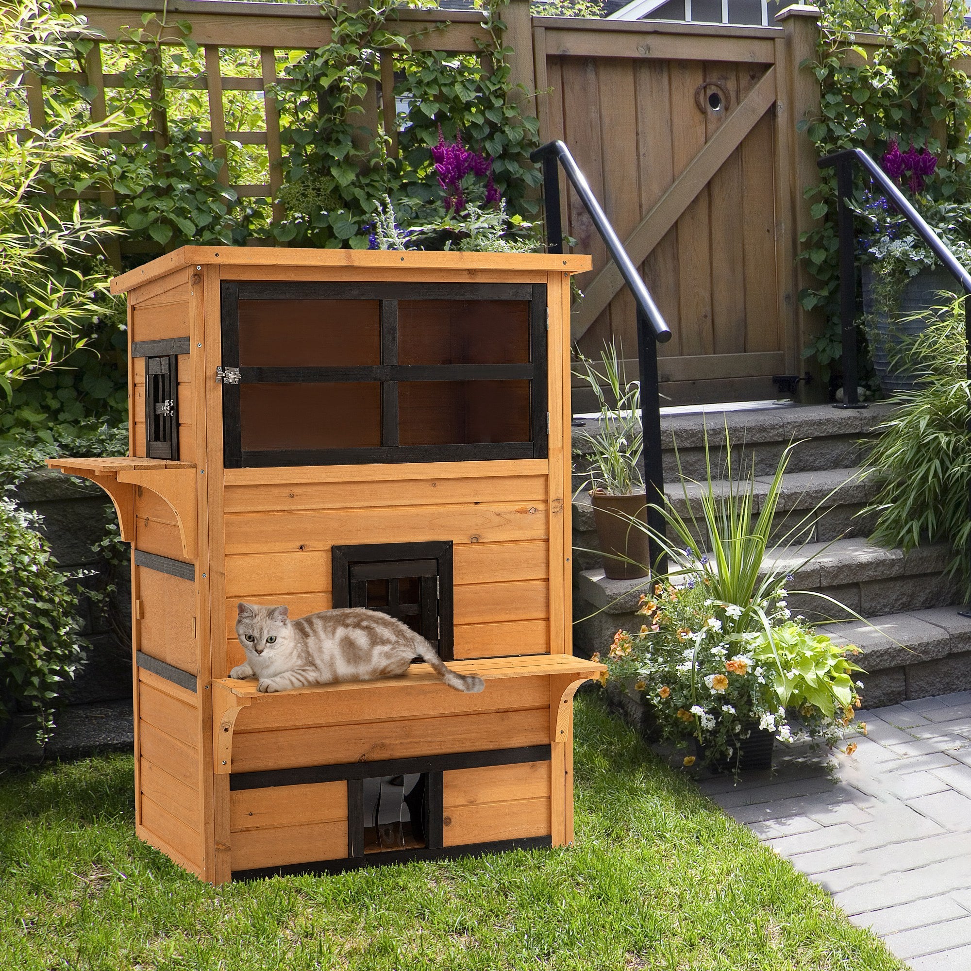 21669685