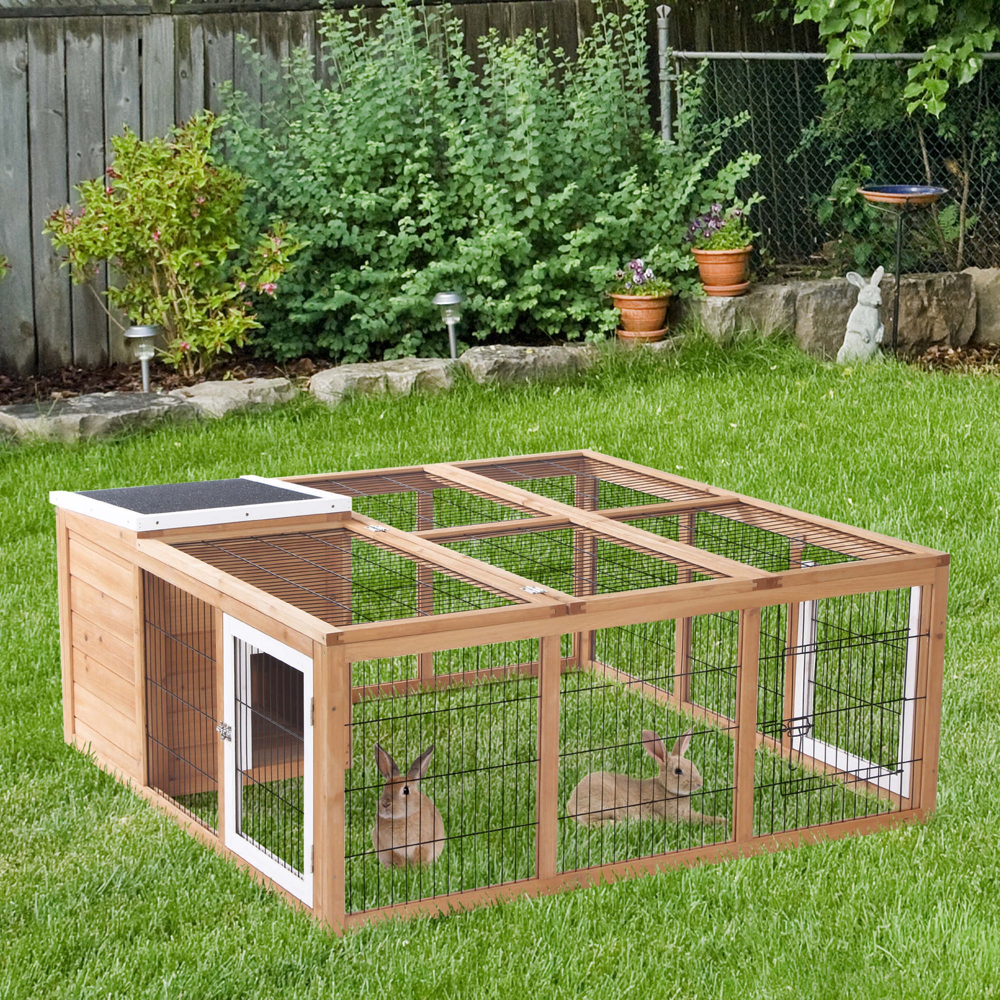 21669980
