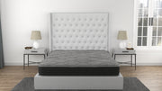 CS Hybrid Pocket Coil 8' Full Mattress