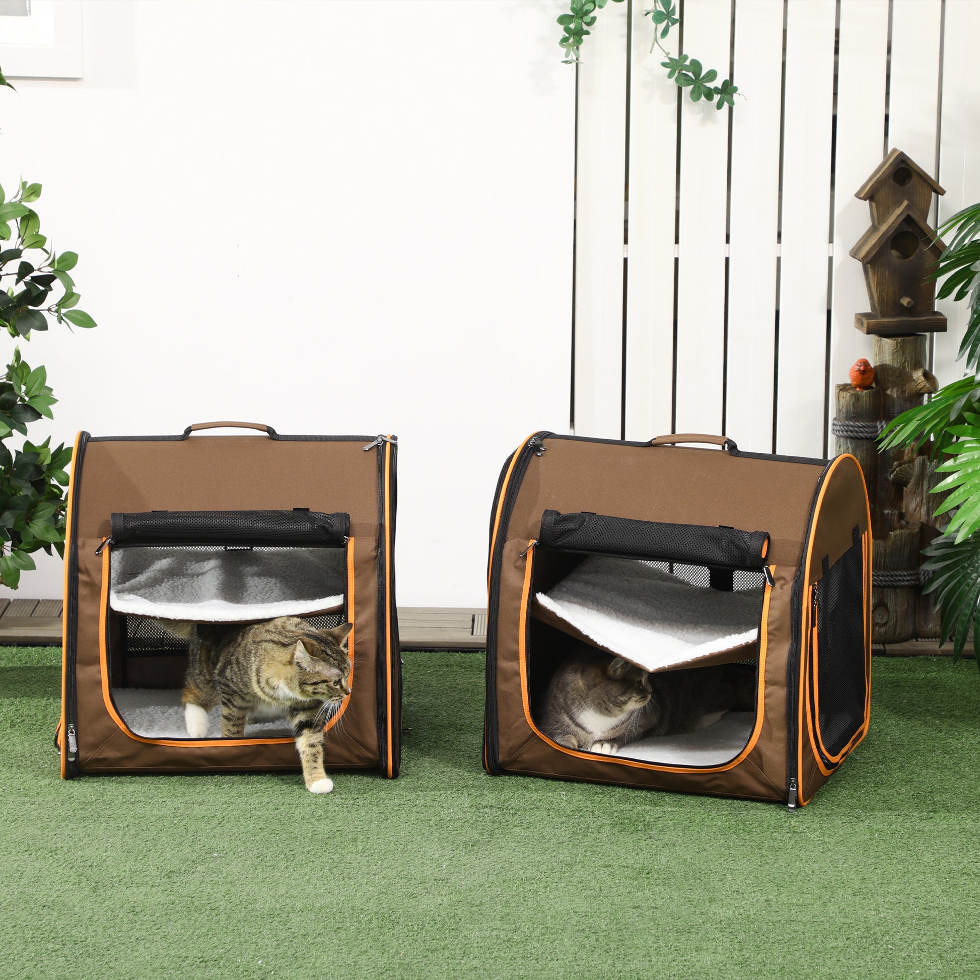 21664802