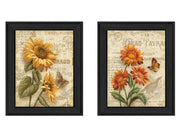 'Flowers Collection' 2-Piece Vignette By Ed Wargo, Printed Wall Art, Ready To Hang Framed Poster, Black Frame