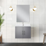 Dark Grey Bath Vanity 24 in. W x 22 in. D, with White Quartz Top