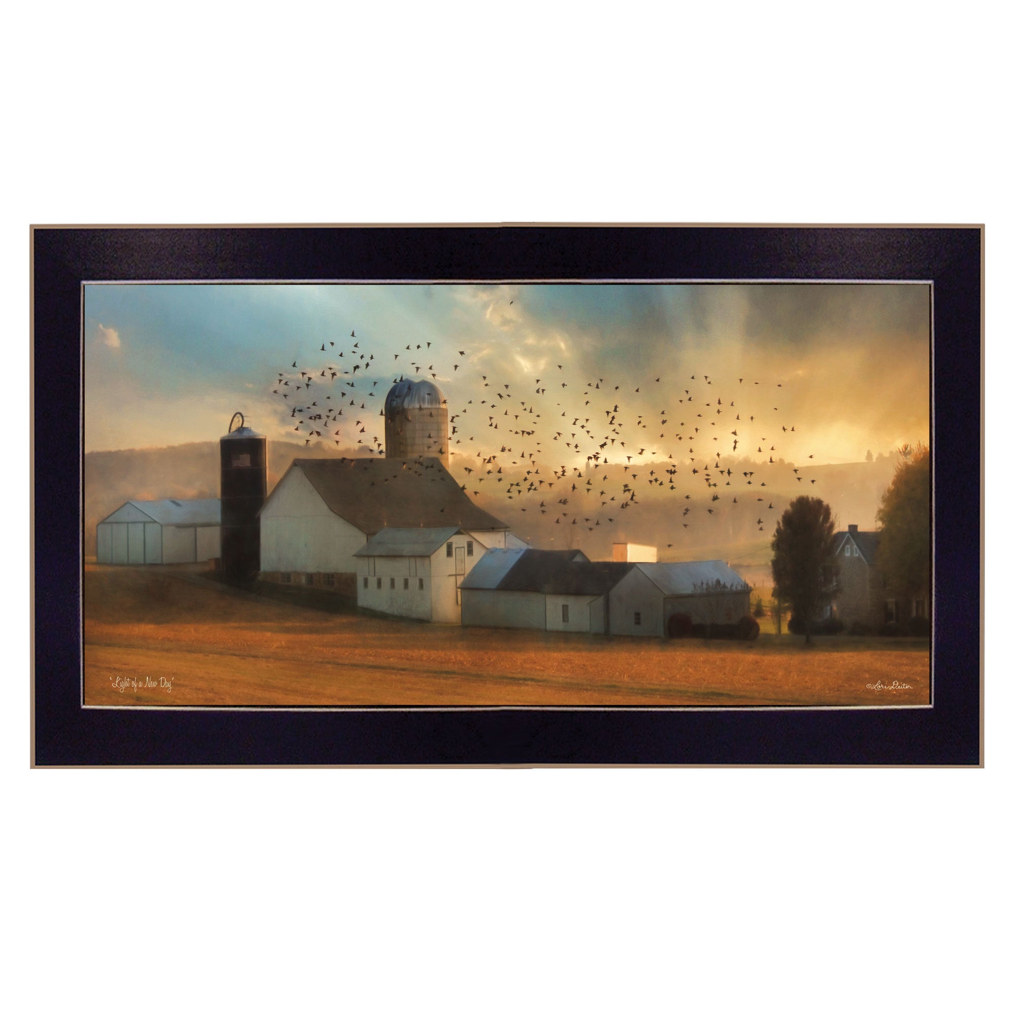 'Light of a New Day' By Lori Deiter, Ready to Hang Framed Print, Black Frame