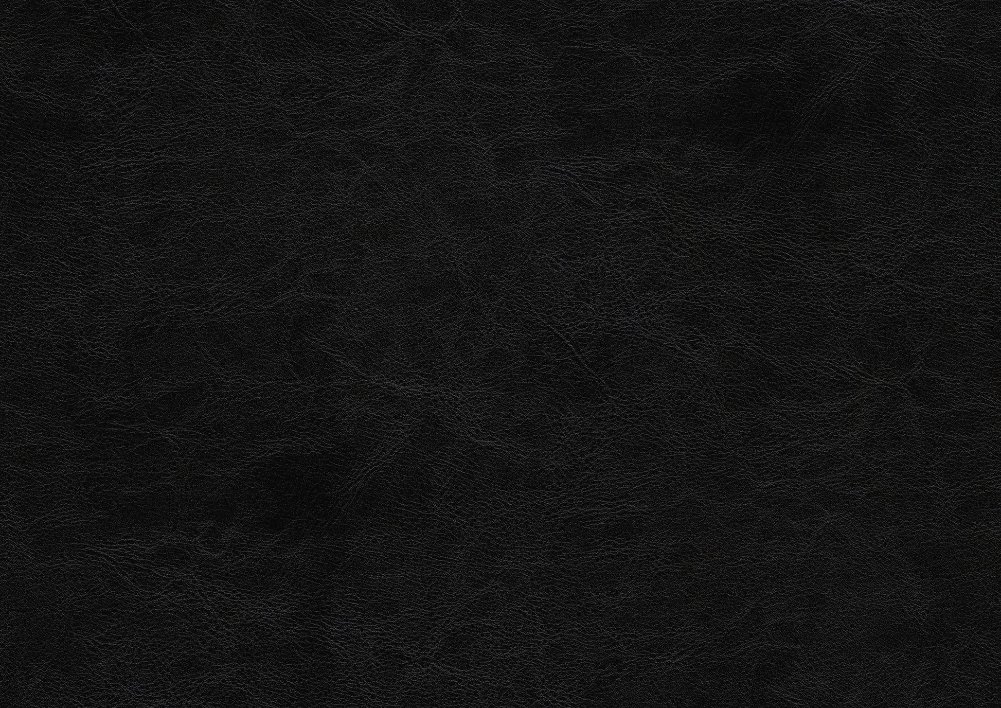 22119047