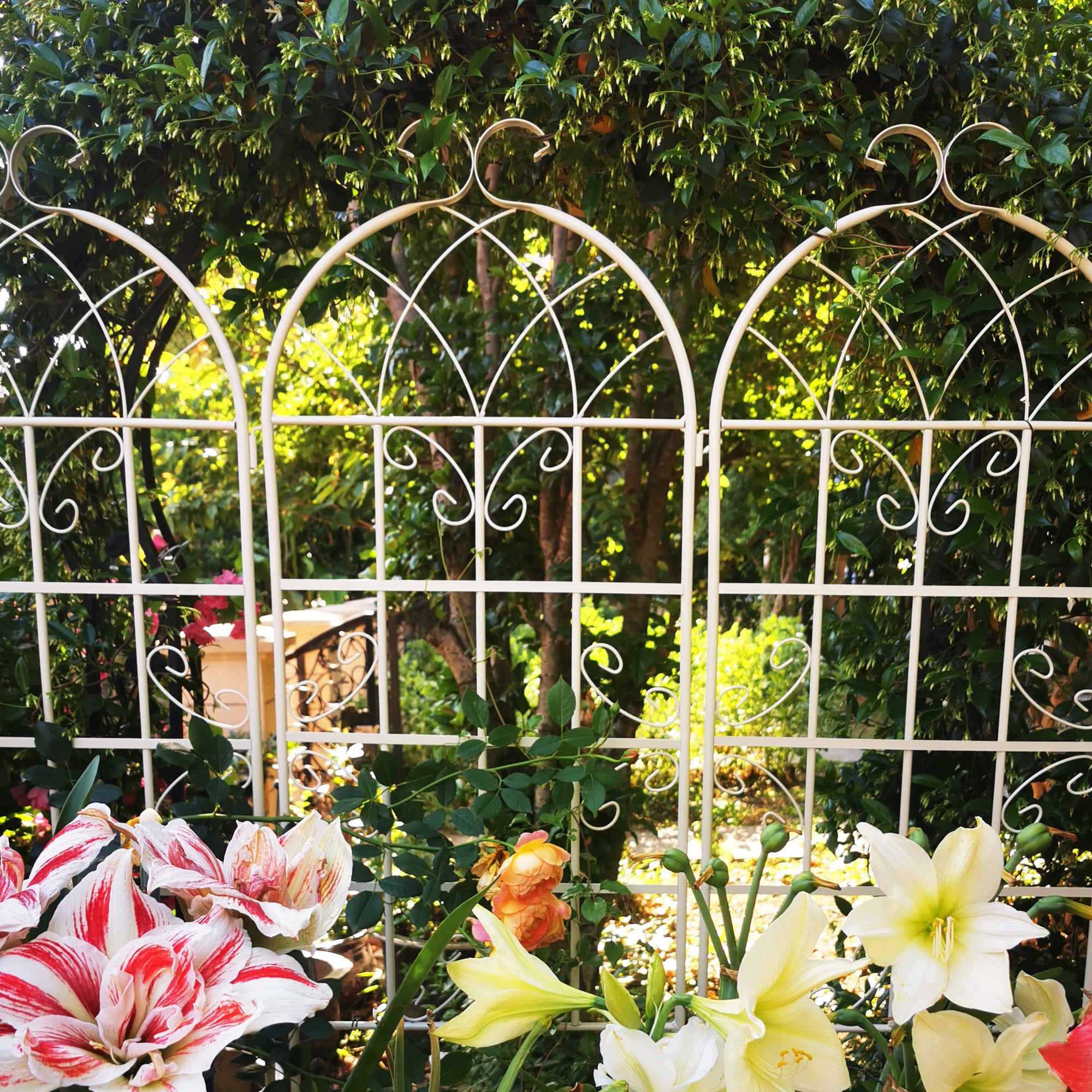 4 Pack Metal Garden Trellis 71' x 19.7' Rustproof Trellis for Climbing Plants Outdoor Flower Support Cream White