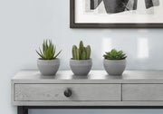 Artificial Plant, 6' Tall, Succulent, Indoor, Faux, Fake, Table, Greenery, Potted, Set Of 3, Decorative, Green Plants, Grey Cement Pots