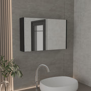 Medicine Cabinet 19.70' H, with 2 Doors, 3 Shelves, 2 Mirrors, Black